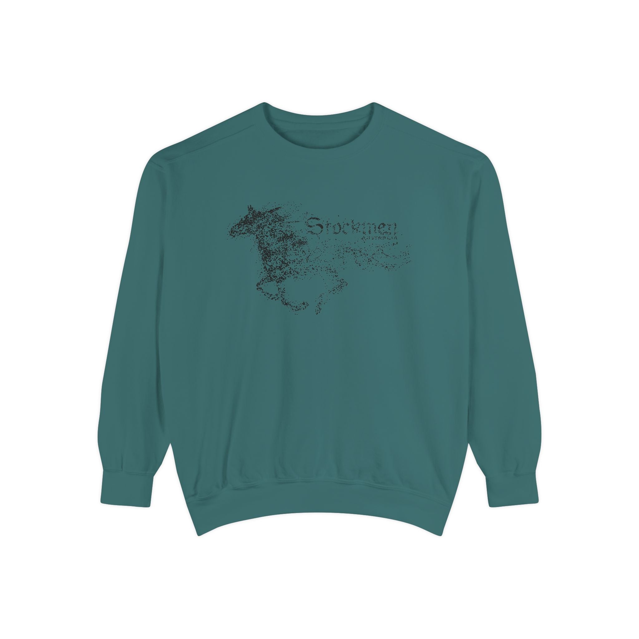 STORM Sweatshirt