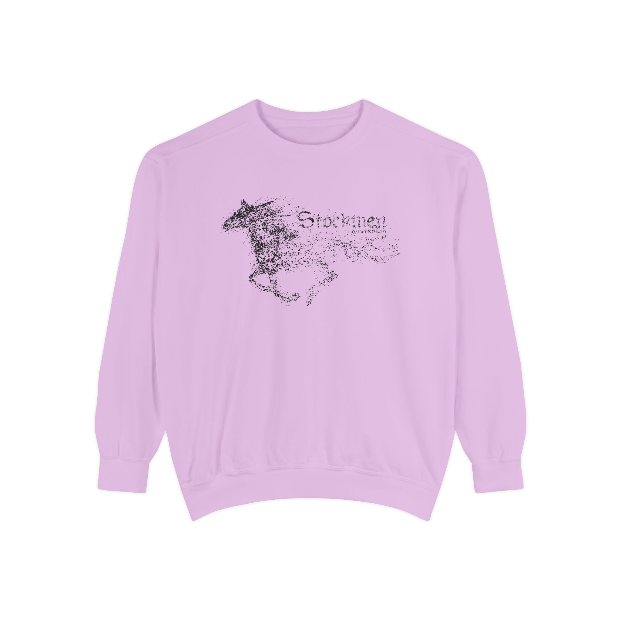 STORM Sweatshirt
